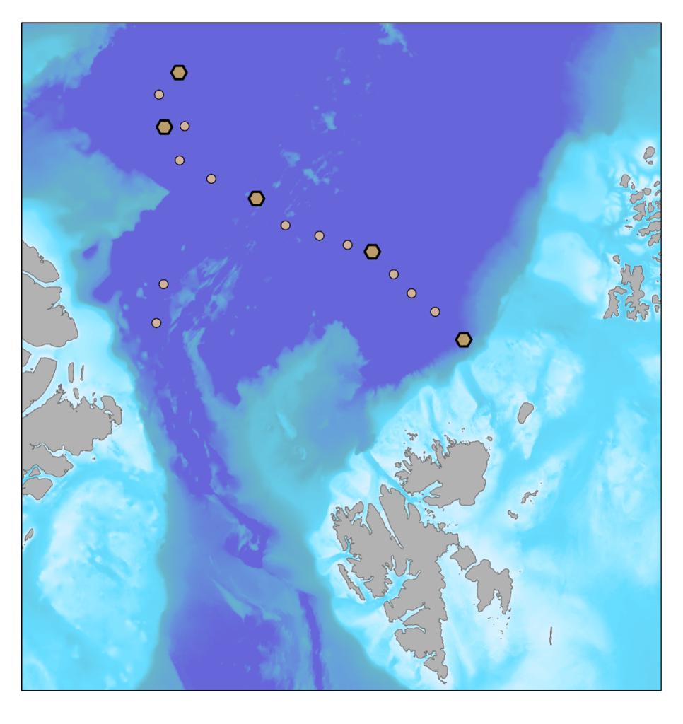 The Nansen Legacy Arctic Basin cruise covered a transect of 2330 km extending from the Nansen Basin NE of the Svalbard slope in the south to the northern part of the Amundsen Basin just south of the Lomonosov Ridge in the north. The geographic bounding box spanned 81.46-87.51°N and 31.34°E-21.53°W and covered a depth range of ca. 2800-4800 m, with sampling covering 2817-4290 m.
